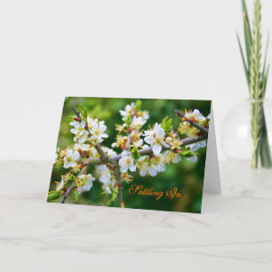 Anuncio Nuevo Hogar - Tumba de primavera acoplada al sol