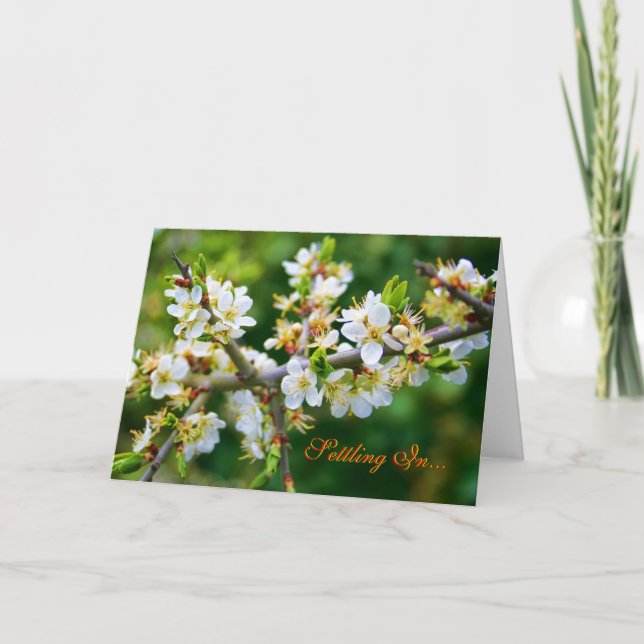 Anuncio Nuevo Hogar - Tumba de primavera acoplada al sol (Anverso)