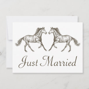 Anuncio Occidental Acaba de Casar Caballo Marrón País Rúst