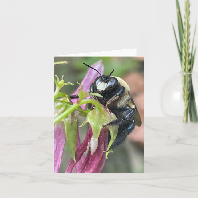 Anuncio Ocupado como abeja (Anverso)