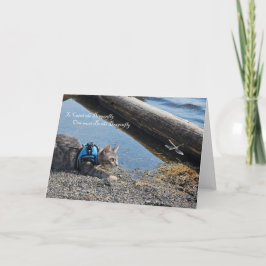 Anuncio Para atrapar a la libélula, notecard