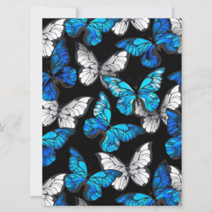 Anuncio Patrón oscuro sin foco con mariposas azules morfo