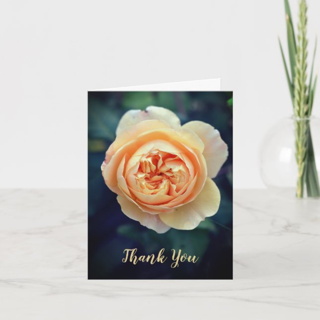 Anuncio Peachy Naranja Jardín Rosa Flor Gracias (Anverso)