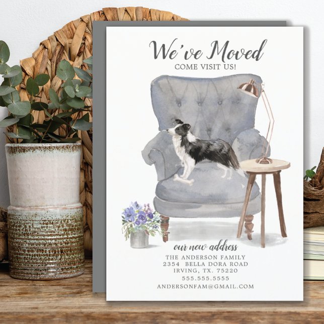 Anuncio Perro de cola de frontera Hemos movido la Invitaci (Subido por el creador)