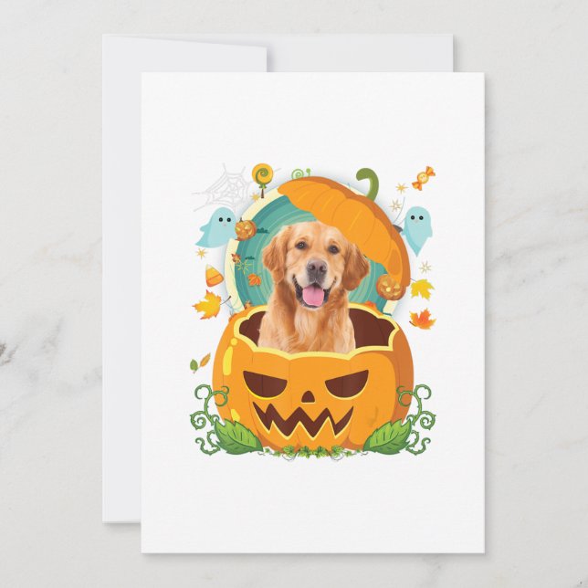 Anuncio Perro recuperador de oro de la calabaza de Hallowe (Anverso)