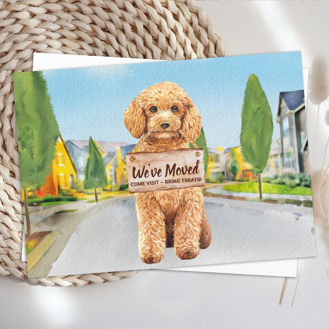 Anuncio Poodle Hemos movido nueva dirección Traslado de pe (Subido por el creador)