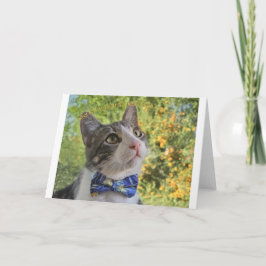 Anuncio ¿Por qué encajar, notecard?