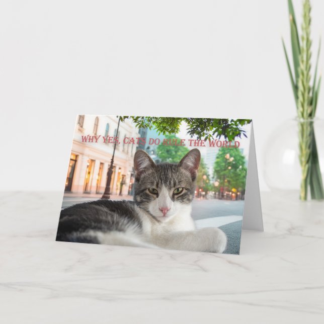 Anuncio Por qué sí, los gatos gobiernan el mundo, no (Anverso)