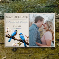 Primavera Bluebirds Foto Save the Date