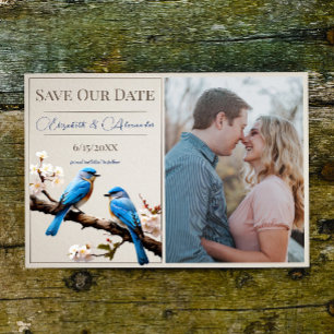 Anuncio Primavera Bluebirds Foto Save the Date