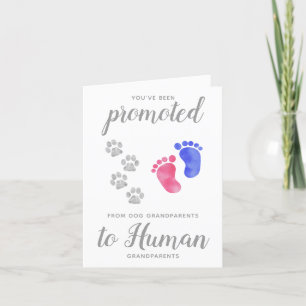 Anuncio Promovido Del Embarazo De Los Abuelos Perros