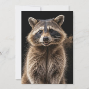 Anuncio Raccoon Wild Animal Elegant Dramatic Mist Retrato