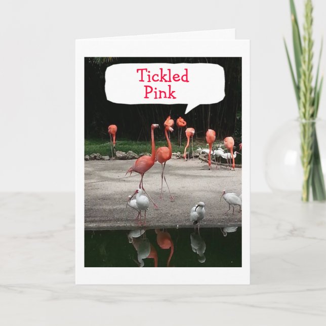 ANUNCIO **RECIÉN NACIDO** LOS FLAMINGOS ESTÁN "RODADOS" (Anverso)