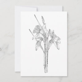 Anuncio Rincón de sketch de daffodils.