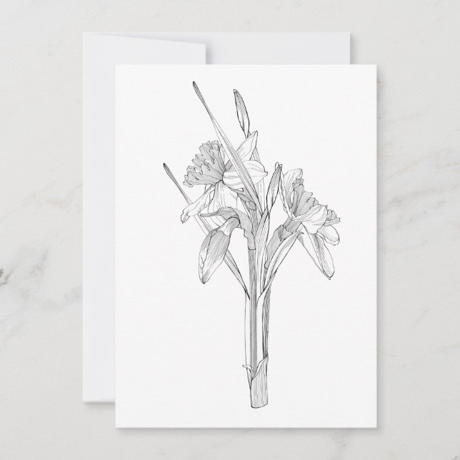 Anuncio Rincón de sketch de daffodils. (Anverso)