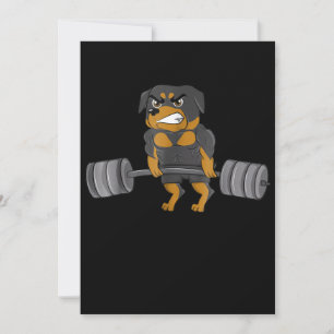 Anuncio Rottweiler Halterofilia Bodybuilding Dog