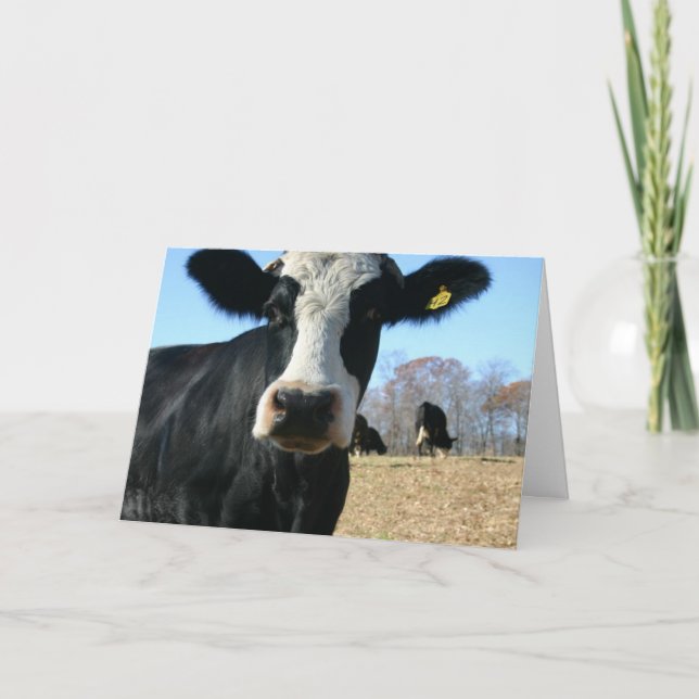 Anuncio Santa Vaca Nos Hemos Mudado (Anverso)