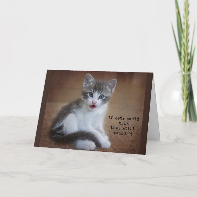 Anuncio Si los gatos pudieran hablar, notecard (Anverso)