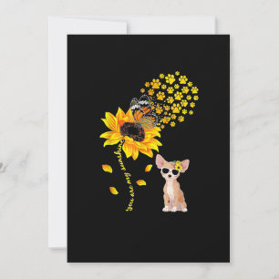 Anuncio Son Mis Hombres Sunshine Sunflower Chihuahua