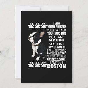 Anuncio Soy Tu Amigo Tu Socio Tu Terrible De Boston
