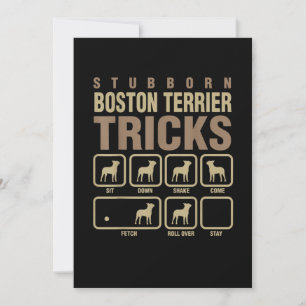 Anuncio Stubborn Boston Terrier Tricks Perro T-Shirt
