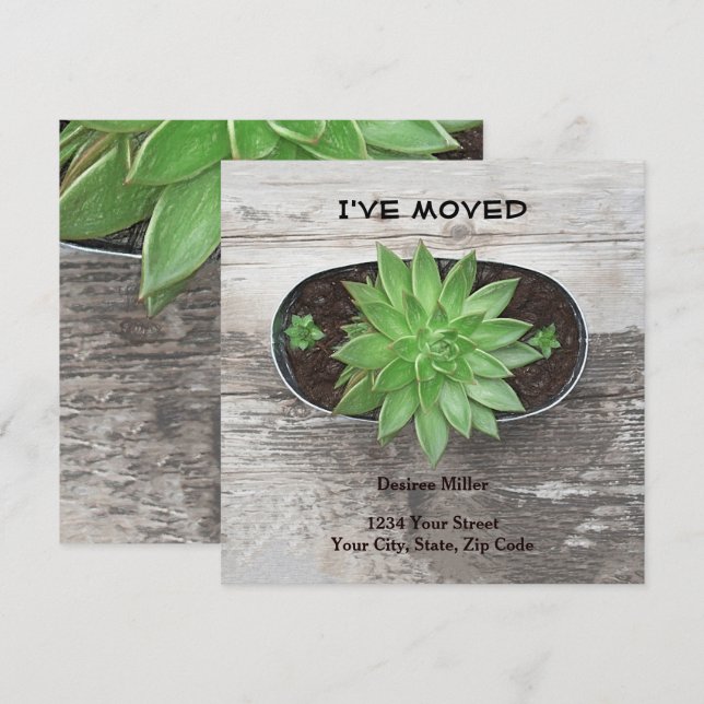 Anuncio Suculenta planta que he movido nueva dirección (Anverso / Reverso)