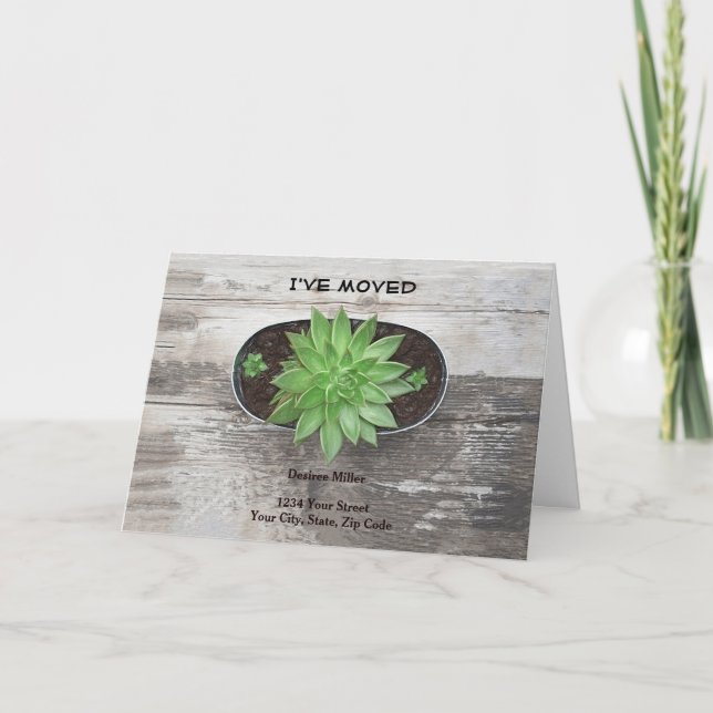 Anuncio Suculenta planta que he movido nueva dirección (Anverso)