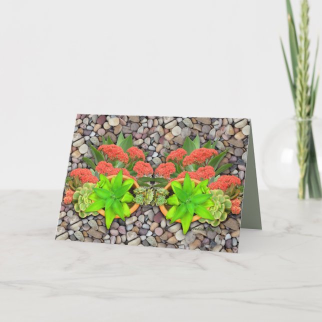 Anuncio Suculentos en guijarros de jardín (Anverso)