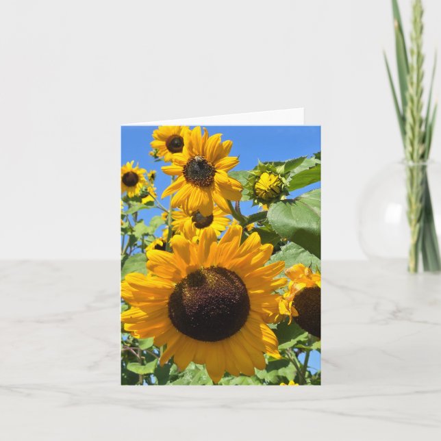 Anuncio Sunflower (Anverso)