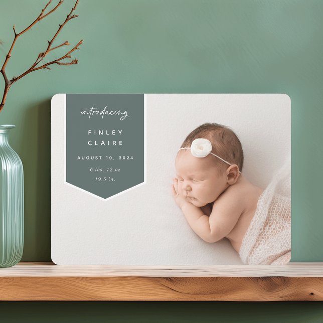 Anuncio Superposición de banners | Nacimiento horizontal d (Subido por el creador)