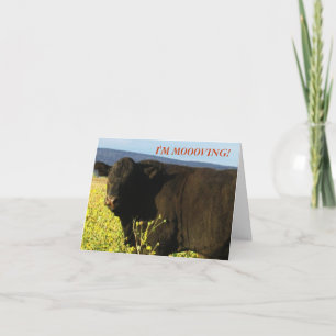 Anuncio Toro negro en flores - Cambio occidental de direcc