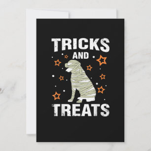 Anuncio Tratamientos _ Tricks Rottweiler Halloween Costume