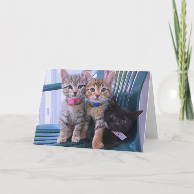 Anuncio Tres gatitos (Anverso)