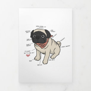 Anuncio Tríptico Anatomía De La Gráfica De Perros De Pug