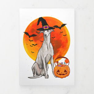 Anuncio Tríptico Dog Halloween Greyhound Jack O Lantern Pumpkin