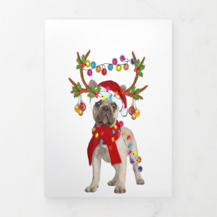 Anuncio Tríptico Magnífico regalo de Navidades de renos de Bulldog