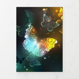 Anuncio Tríptico Mariposa luminosa y mariposas nocturnas