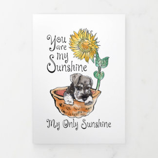 Anuncio Tríptico Mujeres Que Eres Mi Schnauzer Sunshine, Girasol