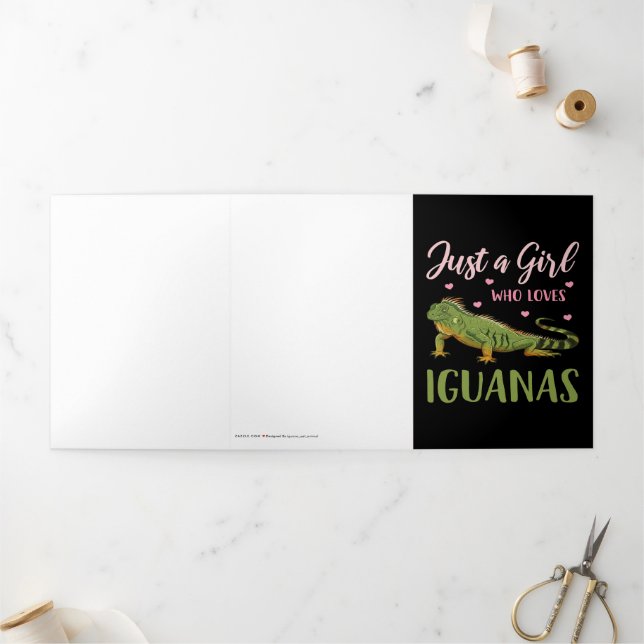 Anuncio Tríptico Solo un Chica que ama las iguanas (Exterior)