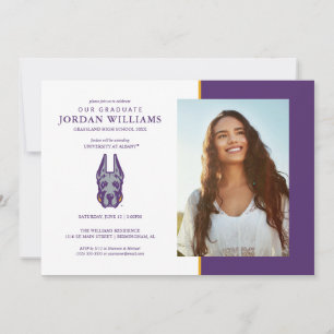 Anuncio Universidad de Albany Gran Cabeza de Mascota Dane