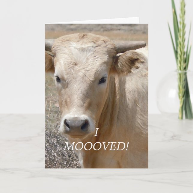 Anuncio Vaca blanca de Charolais - cambio de dirección (Anverso)