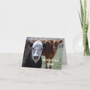 Anuncio Vacas pequeñas - Cambio de dirección occidental