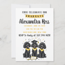 Anuncio Ven a celebrar a nuestros perros Caniche Estándar 
