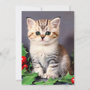 Anuncio Vintage Christmas Kitten and Holly