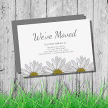 White Daisies Moderno Rustic Floral Moving
