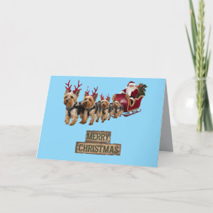 Anuncio Yorkie Navidad Sleigh