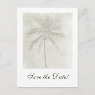 Anuncios Árbol de palmeras de la isla Guardar la postal de
