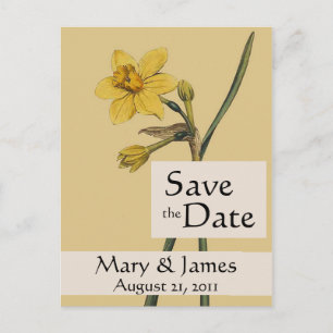 Anuncios Botánicos Vintage Daffodil Guardar la postal de fe