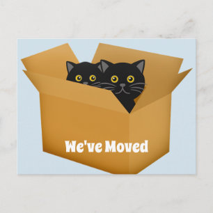 Anuncios Cambio de postal de los gatos de la dirección