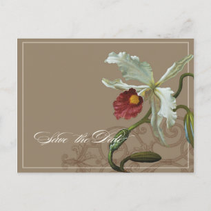Anuncios Cattleya Orchid Taupe - Guardar postal de fecha